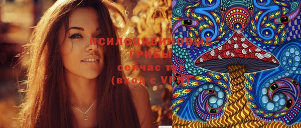 ГАЛЛЮЦИНОГЕННЫЕ ГРИБЫ Алексеевка