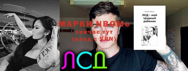 стаф Абаза
