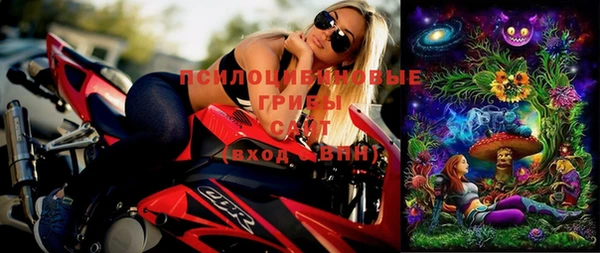 ГАЛЛЮЦИНОГЕННЫЕ ГРИБЫ Алексеевка