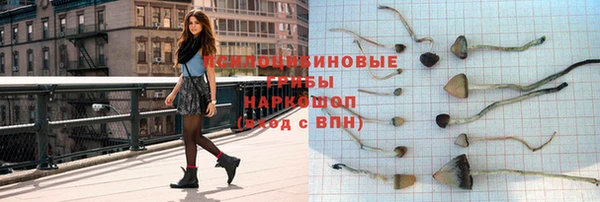 крисы Алзамай
