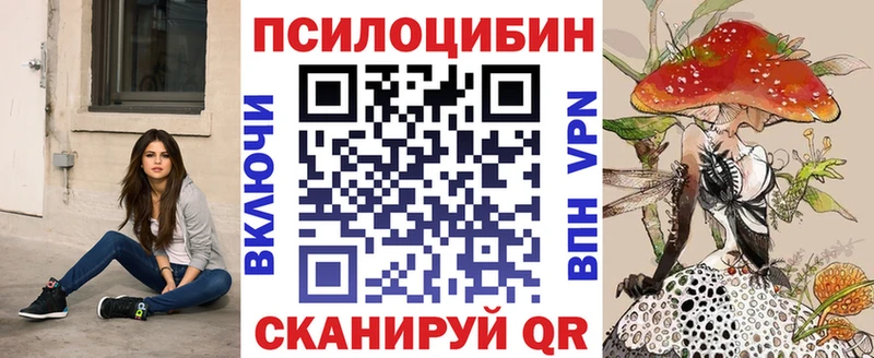 дарк нет телеграм  мега вход  Чебоксары  Галлюциногенные грибы Psilocybe 