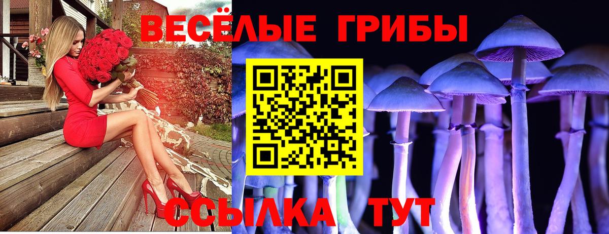 Чебоксары  Галлюциногенные грибы мухоморы  закладки  Вход с VPN 